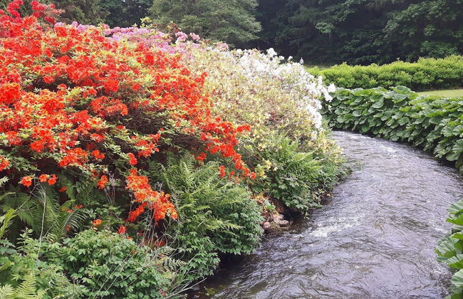 Lakefront Gem in Skarrild - By Traum Ferienwohnungen - Foto 27