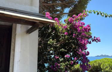 The terrace on Portofino Appartamento Terrazzo Portofino - Foto 41