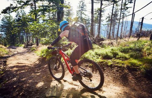 Apartment Kandern - Foto 16