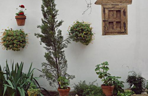 Apartamentos La Vida de Antes - Foto 8