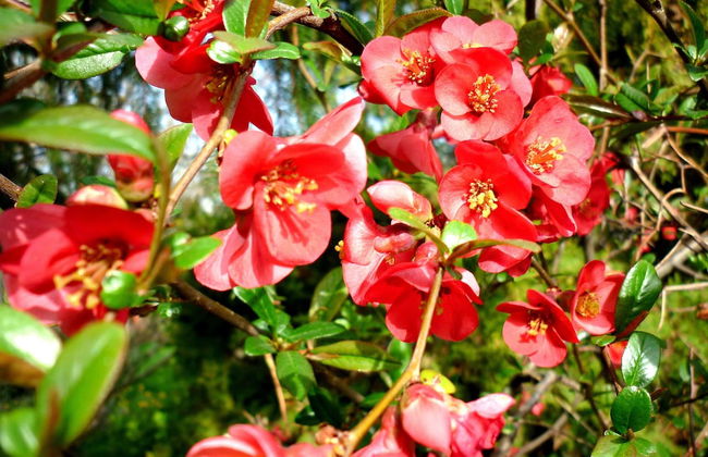 Resort Costa Morroni - Foto 42