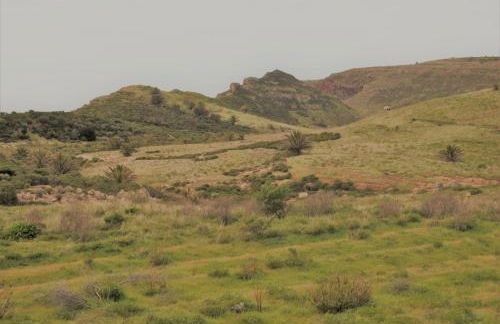 Finca Ulises Las Hayas - Foto 11