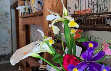 Casadesergio - Photo 61