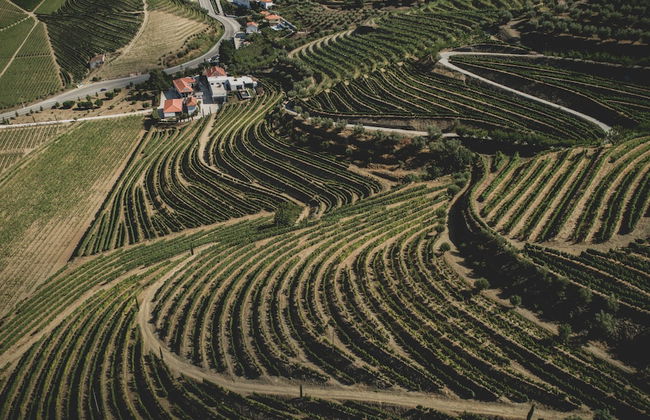 Casal dos Capelinhos - Quinta Nova - Foto 54