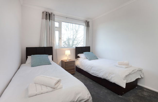 Mega Shelley - Foto 5