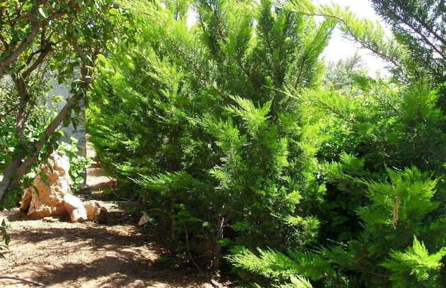 Feels Like Your Home at Ermioni - Photo 36