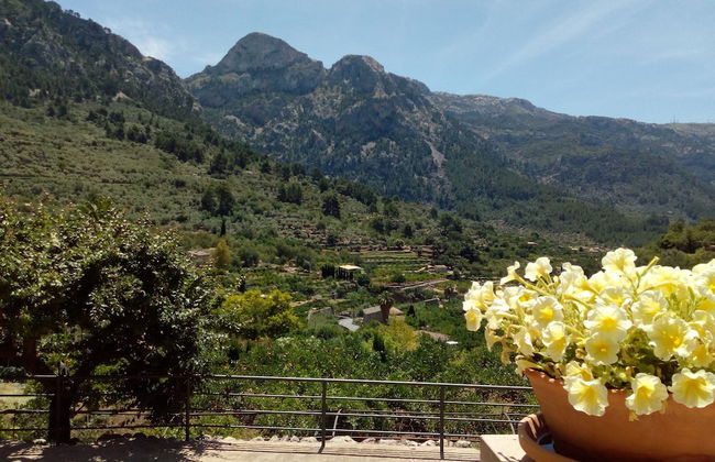 Hotel Apartaments Sa Tanqueta De Fornalutx - Adults Only - Foto 36