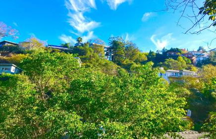 Enchanting Hollywood Hills Oasis with Tree-Top Views, Serene Outdoor Living Room, Zen Garden, Free Attached Garage, Sleeps 6, in LA's Most Desirable, Central, Serene Canyon Neighborhood, and Only 2 Minutes to Hollywood Boulevard - Foto 40