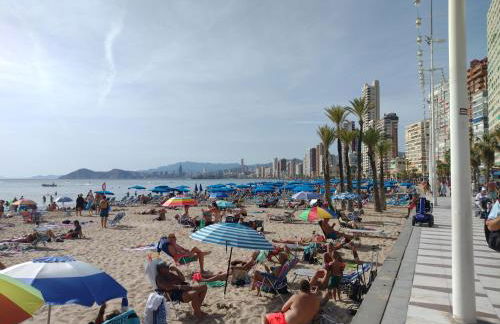 Living Benidorm. Playa Levante - Foto 15