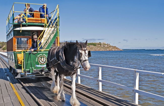 Block Escape no 5 - Penthouse Balcony Wi-fi - Photo 14