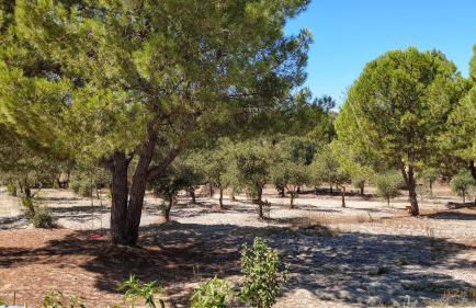 Quinta Fula Fula - Foto 51