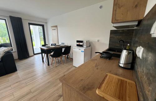 Domki i Apartamenty Wypoczynkowe z jacuzzi Lidzbark - Foto 37