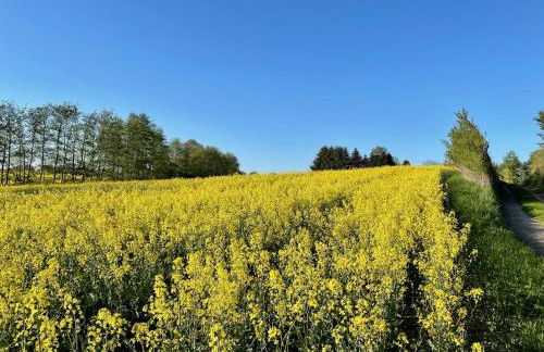 Haus direkt am See, 50m zum Strand, mit Garten & Kamin - Foto 20