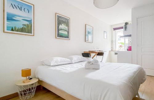 Canopee rue Carnot Annecy - Foto 1