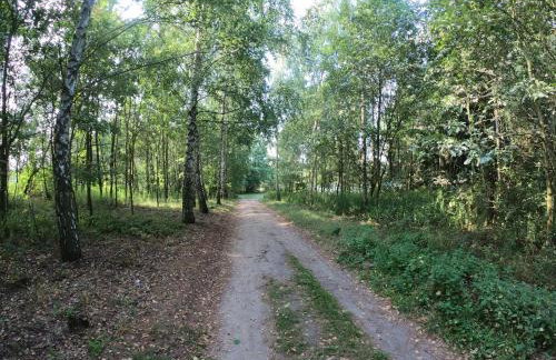 Sercem i Kopytem - Foto 25