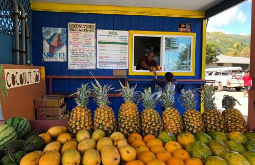 Luxurious Beachfront Condo - Foto 67