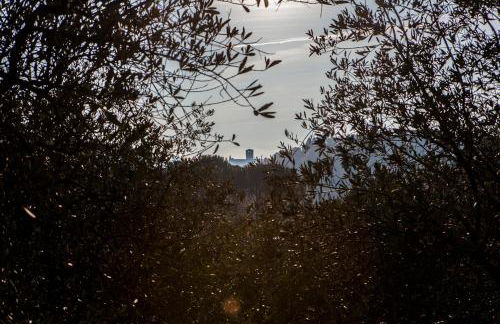 Casolare Santa Margherita - Photo 10