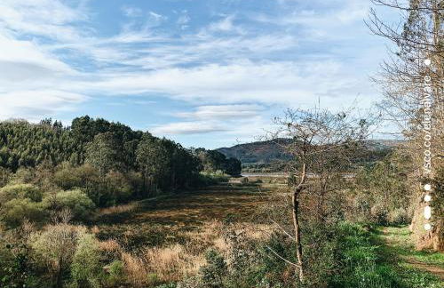 Estudio 33 - Foto 45