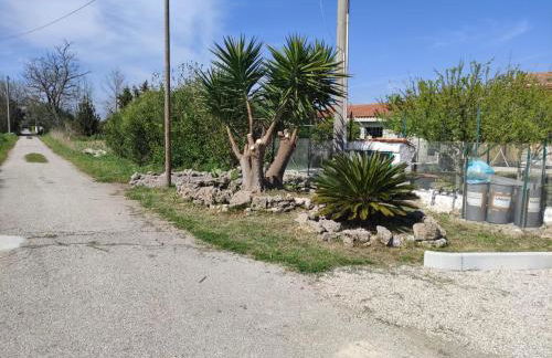 Anna e Mary - Foto 23