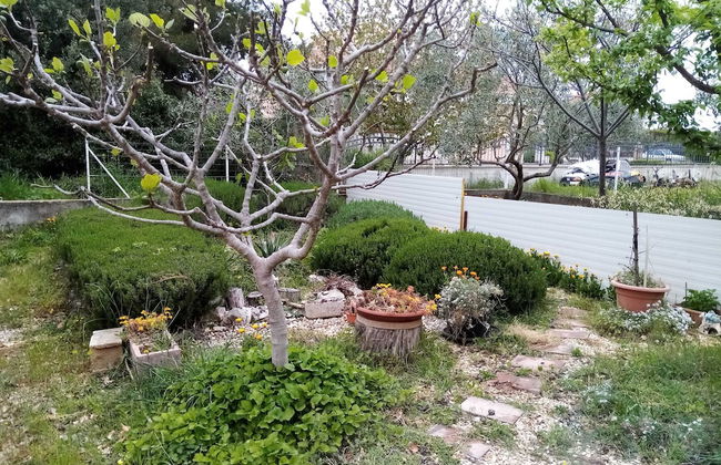 Apartments Vanja Škara Biograd - Foto 36