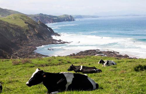 Apartamentos Gloria-patchwork-Ubiarco - Foto 49