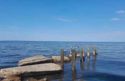 Villa Aurea - Foto 59