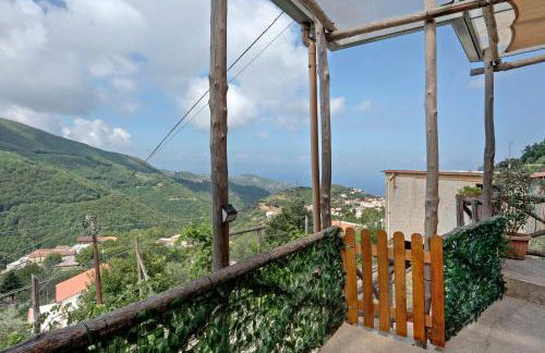 Prima Luce - Foto 21