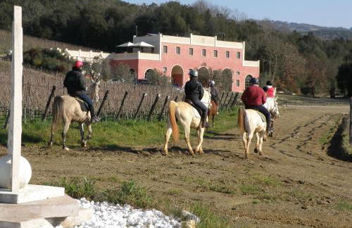 Tenuta il Sassone - Wine&Food - Foto 10