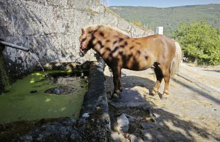 Casa do Apeadeiro - Foto 33