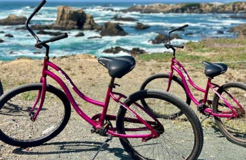 Sand Dollar Shore - Foto 35