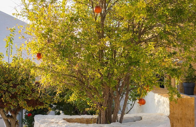 Villa Anton by Cura Villas Collection - Foto 39