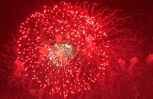 Holiday Apartment "mosel & Umzu" - Photo 19