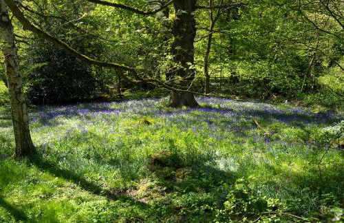 Nightingale Cottage - Ukc1570 - Photo 15