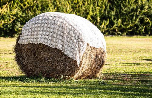 LA MASSARÌA agriresort - Foto 26