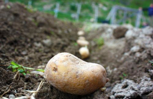 Terra Del Bosco Agriturismo - Foto 31