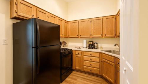 Soulard King 1BR w Washer & 370 Mbps Wi-Fi - Foto 3, stove