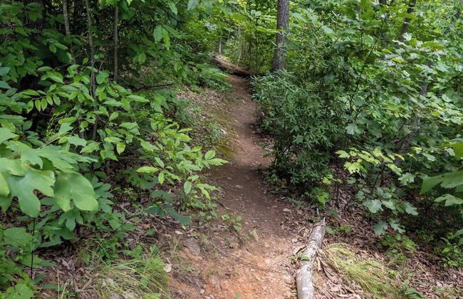 Among the Clouds by Avantstay Views + Hot Tub - Foto 10