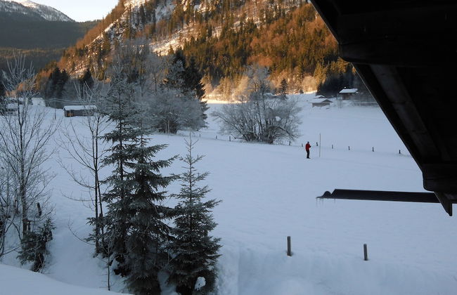 Seewiesenalm - Foto 9