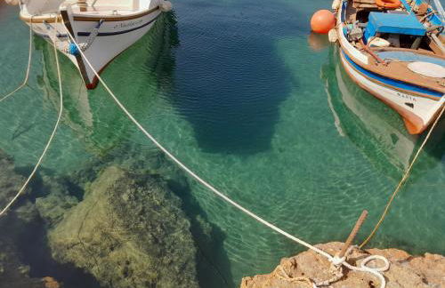 Lydia Mare - Foto 15