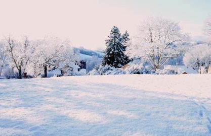 Domaine des Marequiers Le Gite Asphodèle - Foto 7