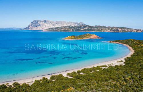 Villa Brandinchi - Foto 11