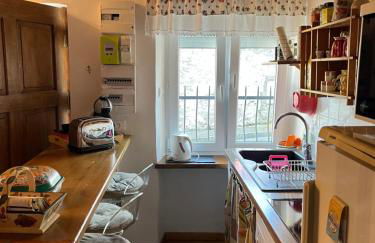 BASIA, Lourdes - centre , quartier historique Sanctuaires a 7 min a pied - Foto 10