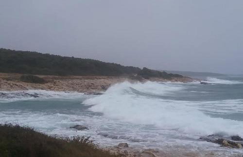 Casetta Olivetta - Foto 4