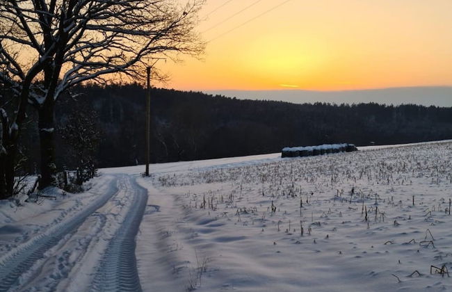 Relaxing Holiday Home in Willersdorf in the Forest - Photo 75