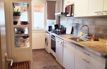 Le balcon de la basse centre ville de Perpignan - Foto 9