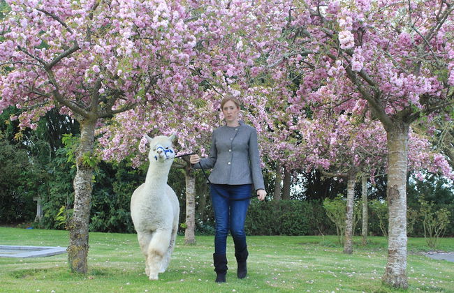 Silverstream Alpaca Farmstay and Tour - Foto 36