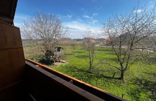 Biohof Liebhart - Photo 35