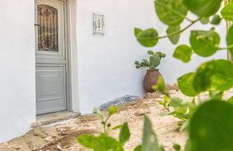 Livadi house Tinos patitiri - Foto 24