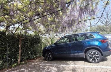 APARTMAN IVONA U PRIZEMLJU - Foto 6