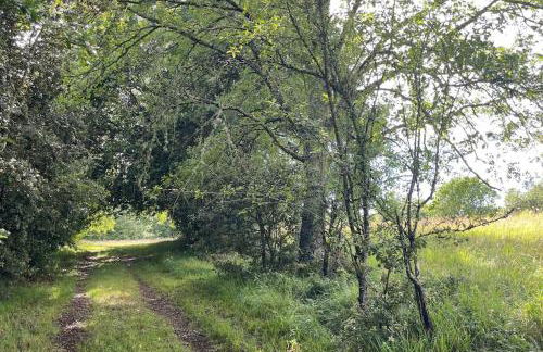 Charming 19th Century Farmhouse with Pool - Foto 29
